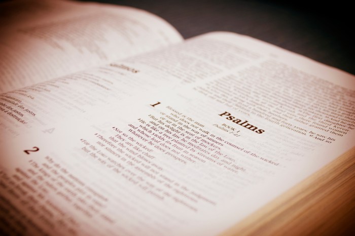 bible-1440953-1279x852